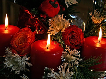Holidays, Flowers, New Year, Christmas, Xmas, Candles HD wallpaper