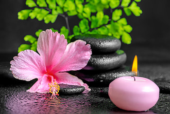 Spa decoration, Candle, Leaves, Hibiscus, Stones HD wallpaper