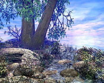 Forest, forests, 3d HD wallpaper