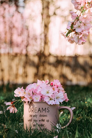 Pink cherry blossoms in a mug in a sunny spring garden, serene and dreamy setting. HD phone wallpaper