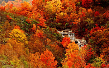 Autumn waterfall, colorful, beautiful, leaves, waterfall, cascades, view, autumn, forest, afll, foliage HD wallpaper