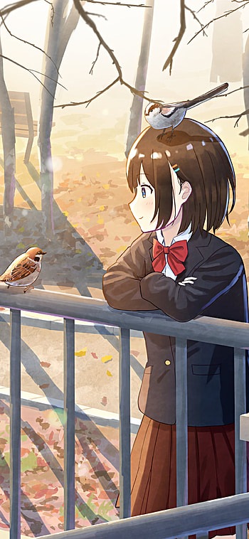 Friend of the birds, bird, Anime, girl, anime girl, Anime Bird HD phone wallpaper