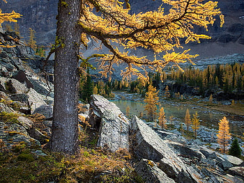 Mountain river, river, autumn, nature, rocks, mountain HD wallpaper