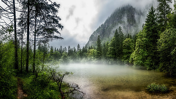 Fog Forest, mist, fog, Forest, lake, mountain HD wallpaper