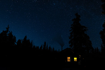 Trees, Night, Dark, Shine, Light, Forest, Silhouettes, Small House, Lodge HD wallpaper
