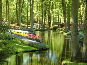 Floral paradise, colorful, floral, nice, trees, path, garden, paradise, beautiful, park, lakes, carpet, pretty, alley, nature, flowers, lovely, forest HD wallpaper