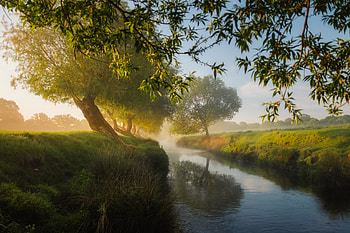 Small River Trees Dreamy, trees, nature, graphy HD wallpaper