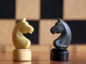 Sports, Chess, Shapes, Shape, Horse HD wallpaper