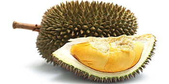 Durian components, Health benefits, Therapeutic uses, Alternative medicine HD wallpaper