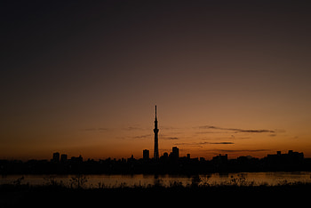 Twilight, City, Building, Dark, Dusk, Panorama HD wallpaper