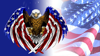 America the Beautiful, USA, United States, flag, 4th of July, Memorial Day, eagle, red white and blue, summer, America, celebrate, patriot HD wallpaper