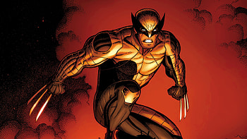 Wolverine Artworks, wolverine, superheroes, digital-art, artwork HD wallpaper