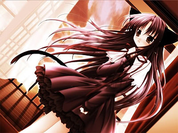 anime girl with cat ears, anime, with, ears, cat, girl HD wallpaper
