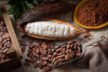 Top cocoa producing countries, World's cocoa hubs, Agricultural powerhouses, Economic impact HD wallpaper