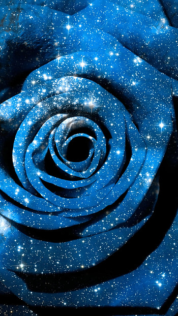 Blue Rose, Galaxy Rose, Rose Art HD phone wallpaper
