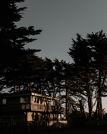 Nature, Trees, Sunset, Seclusion, Privacy, House HD phone wallpaper