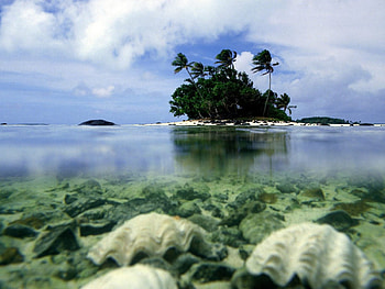 Aitutaki Cook Islands, landscape, nature, beach HD wallpaper