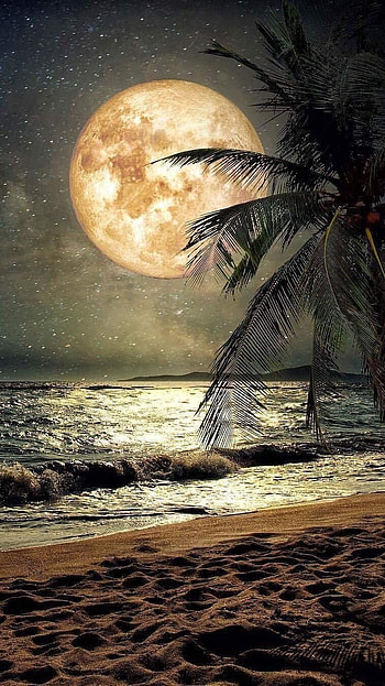 Moon Light, Moon, Light HD phone wallpaper
