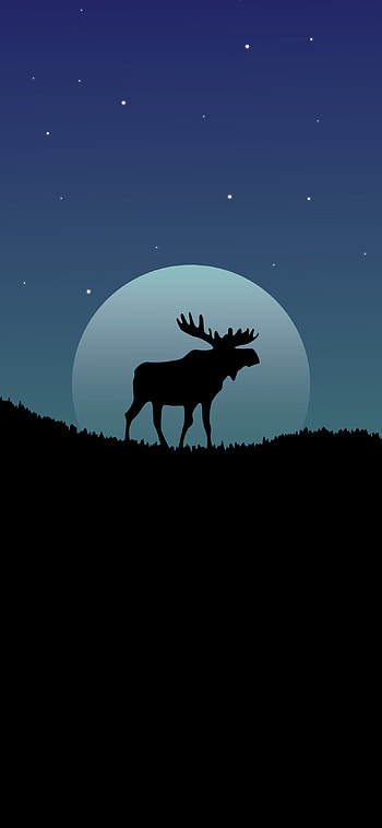 Beautiful moose, Amoled , Striking visuals, Impressive backgrounds HD phone wallpaper