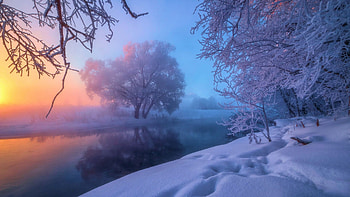 Frosty Morning, sky, ice, snow, colors, landscape, sunrise HD wallpaper