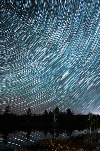 Music, Stars, Night, Forest, Lines, zelight, Glow HD phone wallpaper