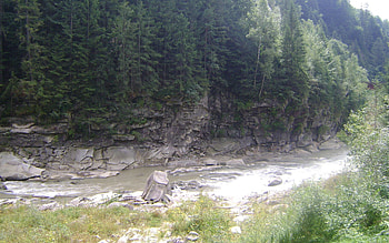 Nature, Rivers, Trees, Stones HD wallpaper