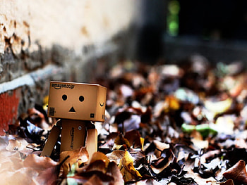 Danbo Playing In The Leaves, danbo, cute, robot HD wallpaper