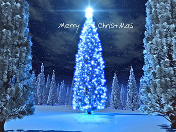 Lights blue, star, blue, lights, christmas, trees, tree HD wallpaper