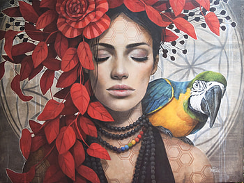 :), face, girl, pasari, parrot, art, bird, sophie wilkins, fantasy, painting, red, pictura HD wallpaper