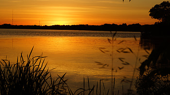 Nature, Water, Sunset, Forest, Ears, Spikes HD wallpaper