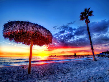 Beach, Nature, Sunset, Sea, Sand, Palms, Tropics, Handsomely, It's Beautiful HD wallpaper