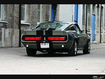 Stang, ford, silver, mustang, car HD wallpaper