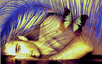Beautiful butterfly??, feather, butterfly, fantasy, male HD wallpaper