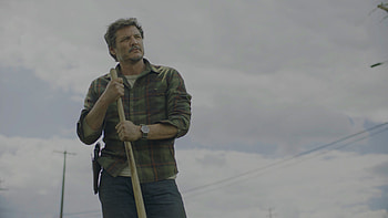 The Last of Us (2023), TV Show, The Last Of Us HD wallpaper