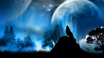44 wolf , Elevated perspective, Vast wilderness, Breathtaking sight HD wallpaper