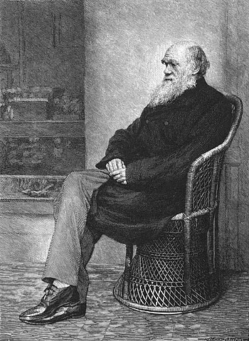 Charles Darwin, Book review, Biography, The New Yorker HD phone wallpaper