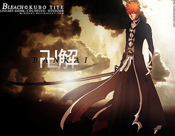 BANKAI, bleach, ichigo, new HD wallpaper
