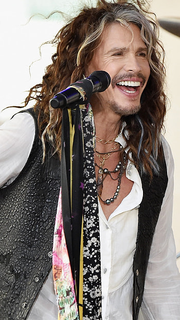 Steven Tyler, Album review, Were All Somebody, Music critique HD phone wallpaper