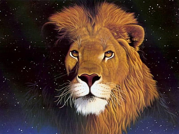 Leo the Lion, animal, cat, lion HD wallpaper