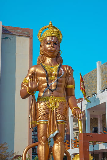 A large golden statue of Hanuman stands prominently in an urban Hindu temple setting under a clear blue sky. HD phone wallpaper