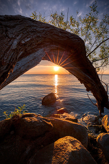 Nature, Sunset, Sun, Lake, Wood, Rays, Beams, Tree HD phone wallpaper