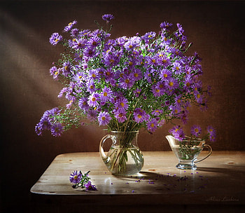 Burst of Purple, purple, still life, vase, beautiful, flowers, lovely HD wallpaper