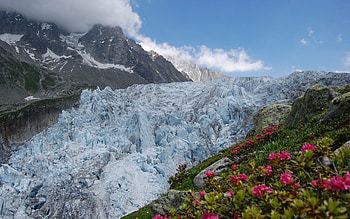 Nature, Flowers, Sky, Mountains, Clouds, Snow, Dirty, Avalanche HD wallpaper