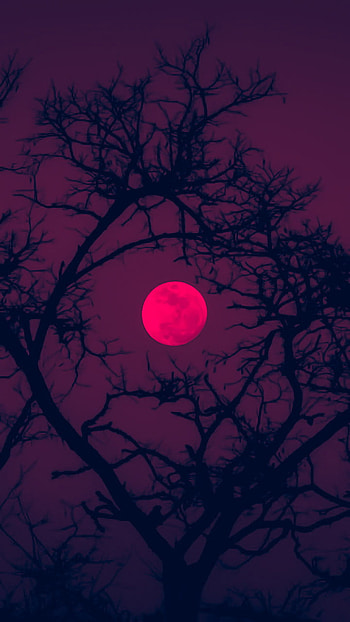 Blood moon, red HD phone wallpaper