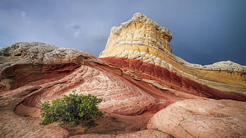 Sandstone in the Vermillion Cliffs, Arizona, plants, landscape, sky, rocks, usa HD wallpaper