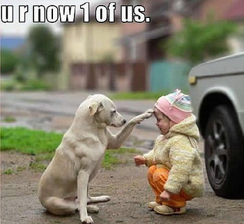 JOIN THE CLUB, dog, club, friends, child HD wallpaper