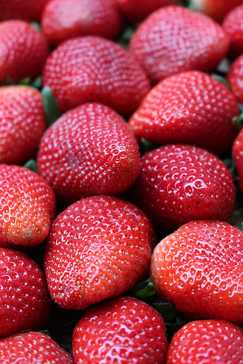 Red fruits, strawberries, close up HD phone wallpaper