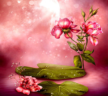 Beautiful Pink Flowers, Beautiful, leaves, green, Flowers, Pink HD wallpaper