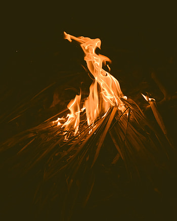 Fire, Bonfire, Dark, Flame HD phone wallpaper