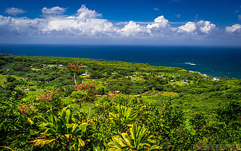Hana, Hawaii HD wallpaper